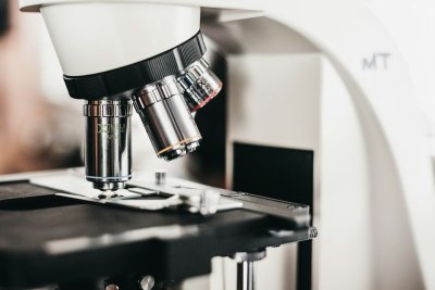 Psilocybine liet muizen opvallend langer leven